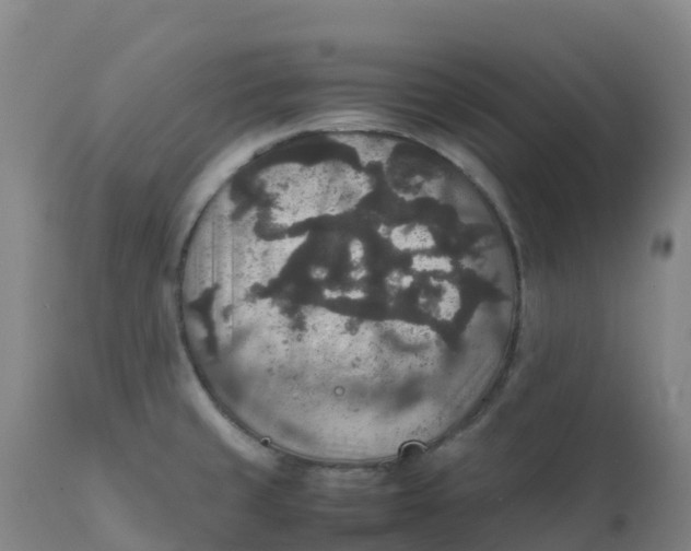 X0000111811429200908131449