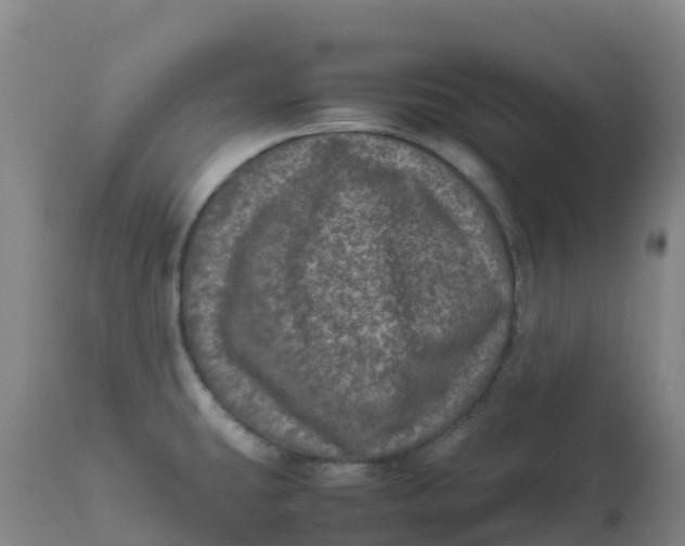 X0000111811431200908131449