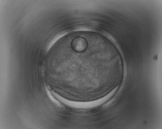 X0000111811433200908131449