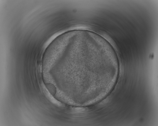 X0000111811436200908131449