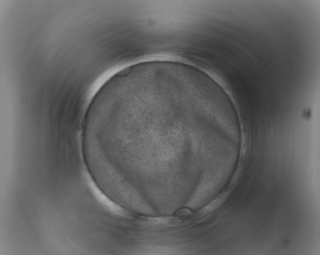 X0000111811438200908131449