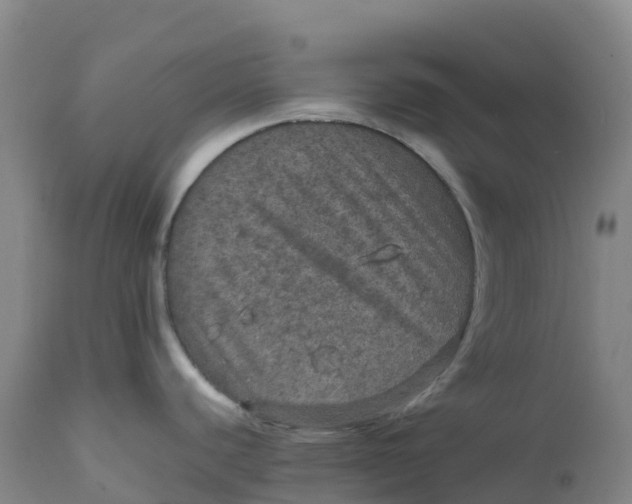 X0000111811440200908131449