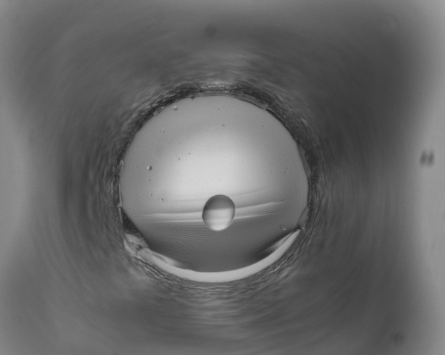 X0000111811441200908131449