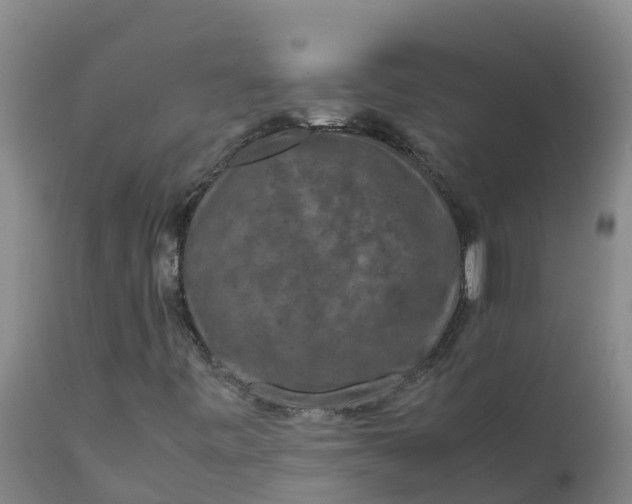 X0000111811443200908131448