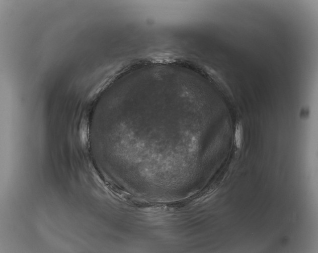 X0000111811444200908131448