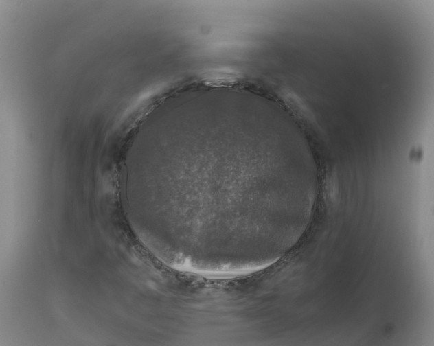X0000111811445200908131448