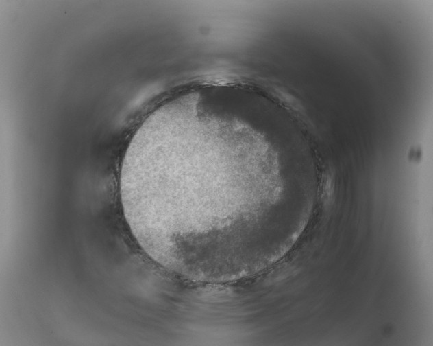 X0000111811446200908131448