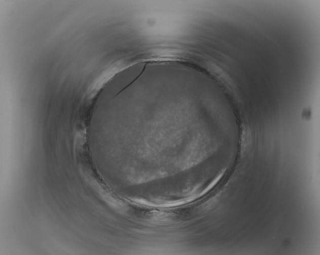 X0000111811449200908131448