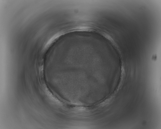 X0000111811450200908131448