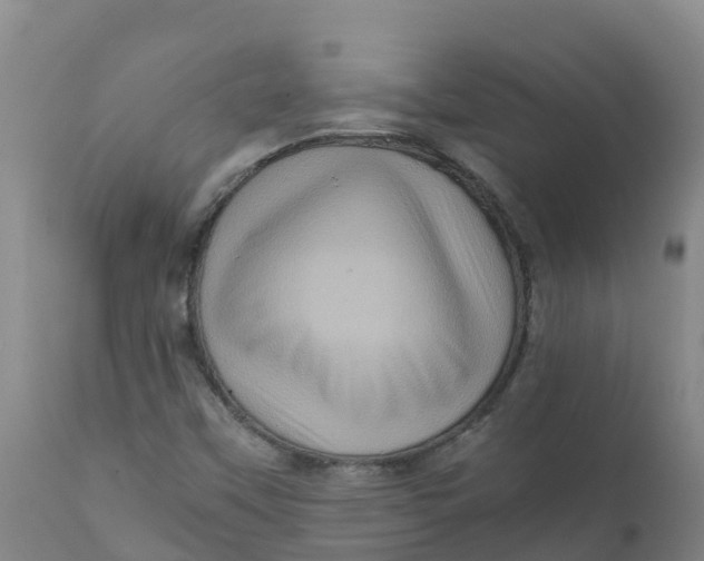 X0000111811451200908131448