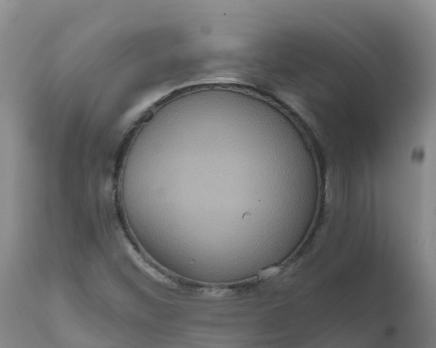 X0000111811452200908131448