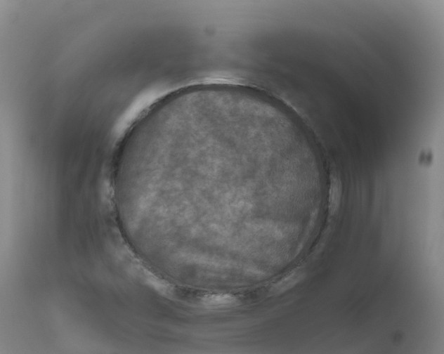 X0000111811454200908131448