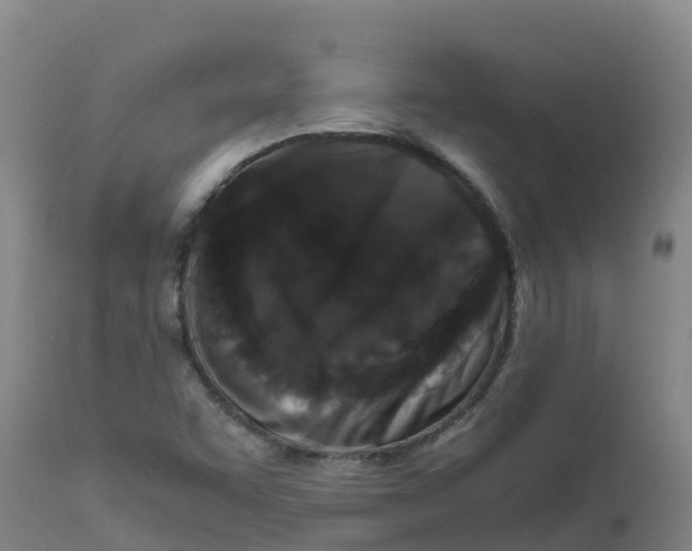 X0000111811455200908131448
