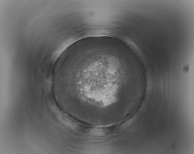 X0000111811457200908131448