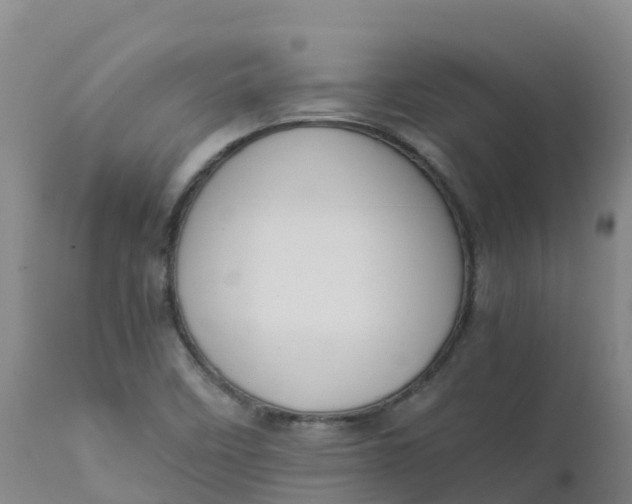 X0000111811458200908131448