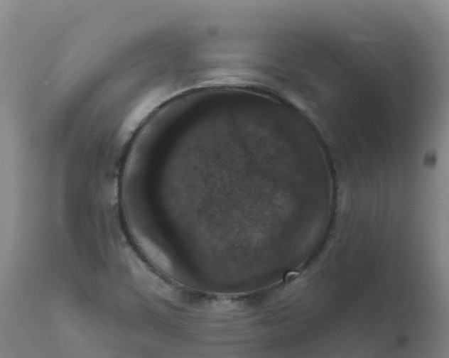 X0000111811459200908131448