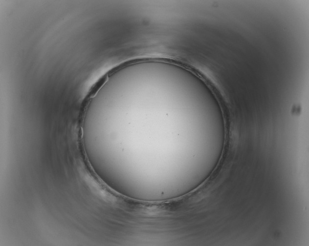 X0000111811460200908131448