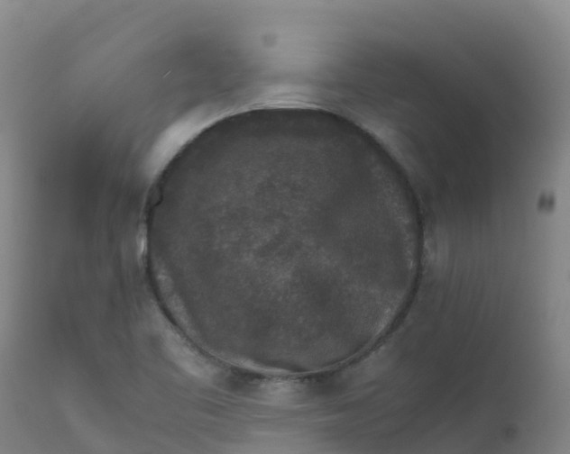 X0000111811461200908131448