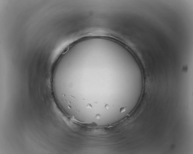 X0000111811464200908131448