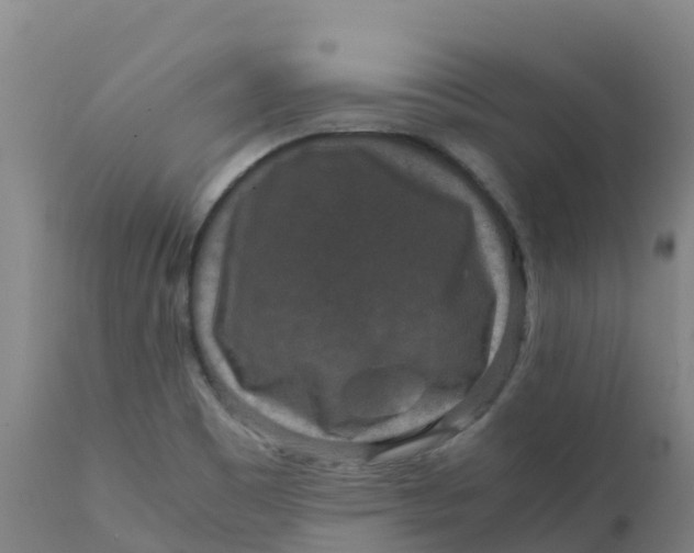 X0000111811465200908131448