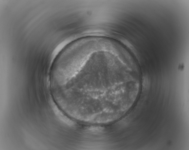 X0000111811466200908131448