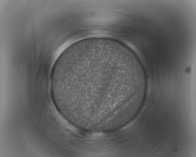 X0000111811467200908131448