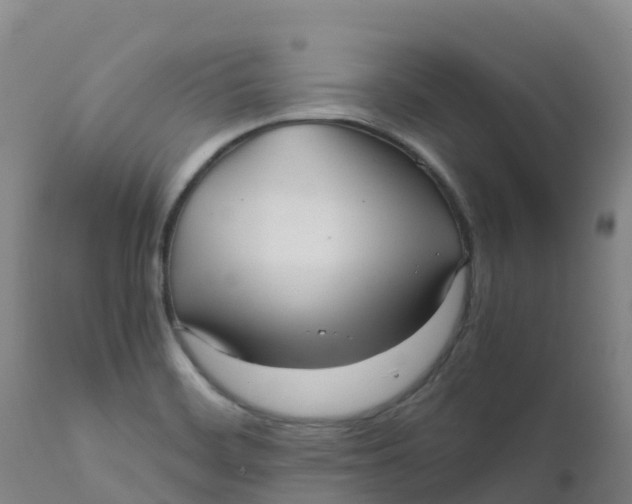 X0000111811468200908131448