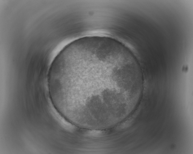 X0000111811470200908131448