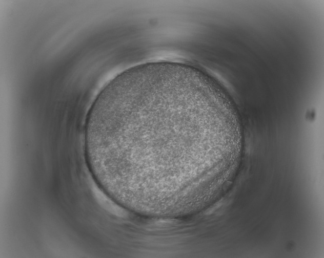 X0000111811471200908131448