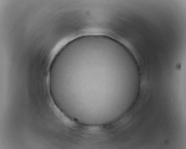 X0000111811472200908131448