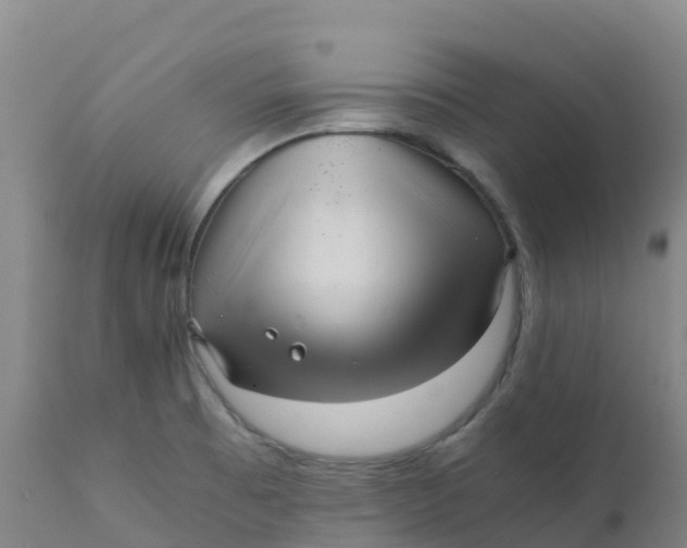 X0000111811473200908131448