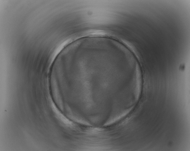 X0000111811475200908131448