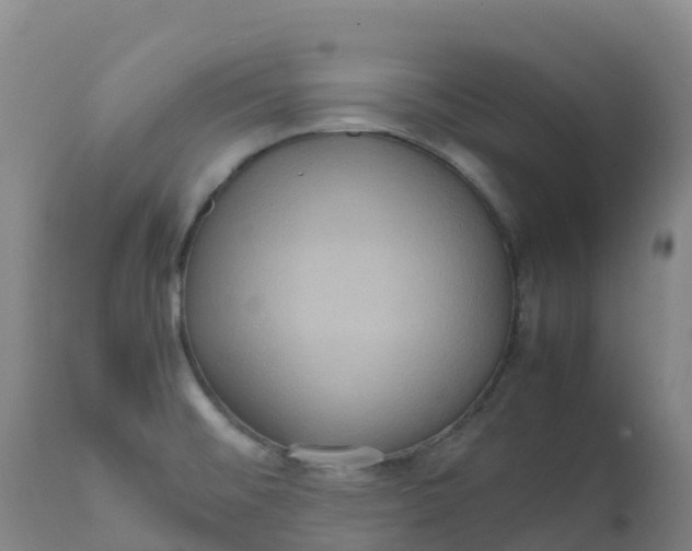 X0000111811476200908131448