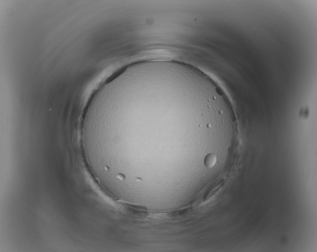 X0000111811477200908131448