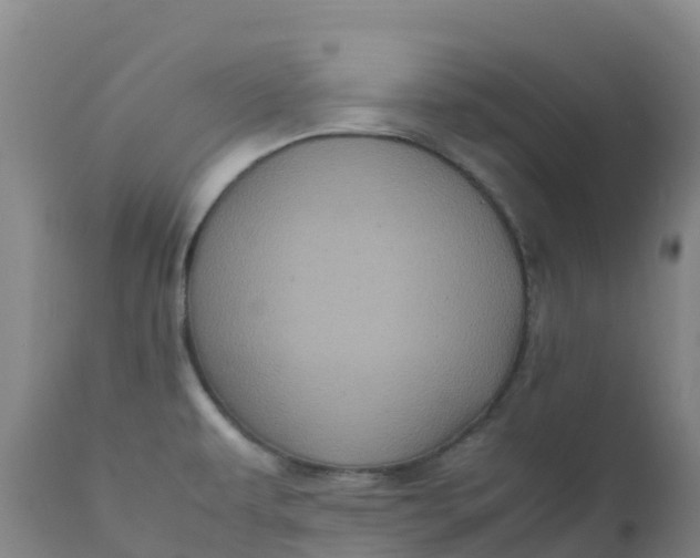 X0000111811479200908131448