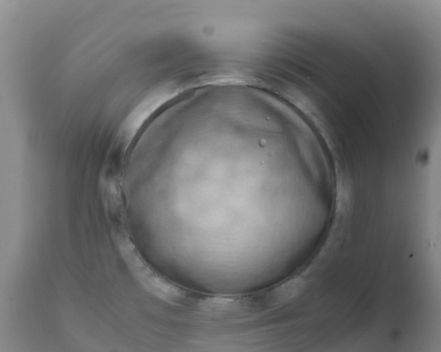 X0000111811481200908131448