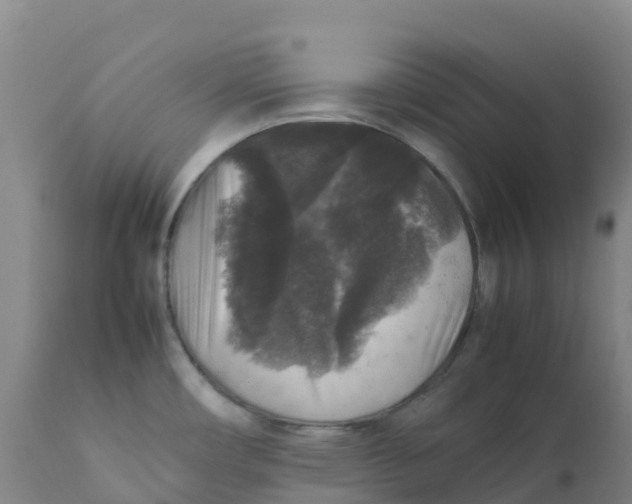X0000111811482200908131448