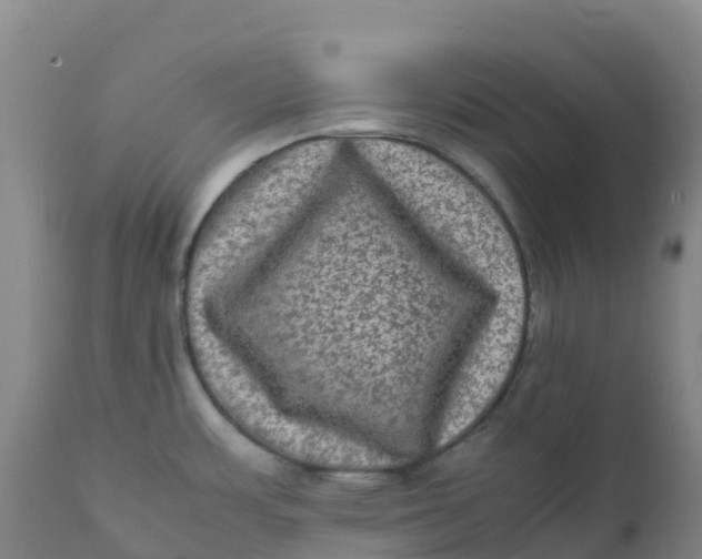 X0000111811483200908131448
