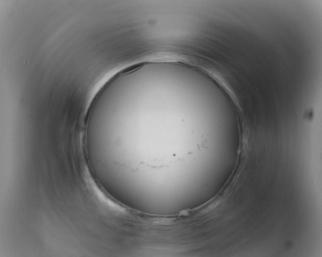 X0000111811484200908131448