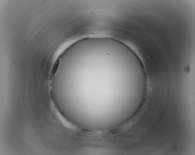 X0000111811485200908131448