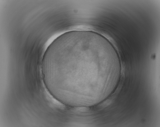 X0000111811486200908131448
