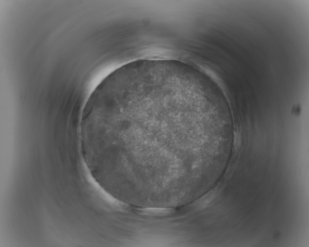 X0000111811487200908131448