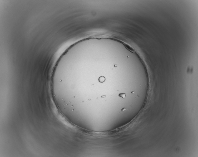 X0000111811488200908131448