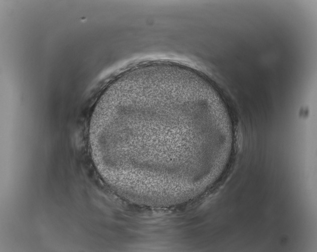 X0000111811494200908131447