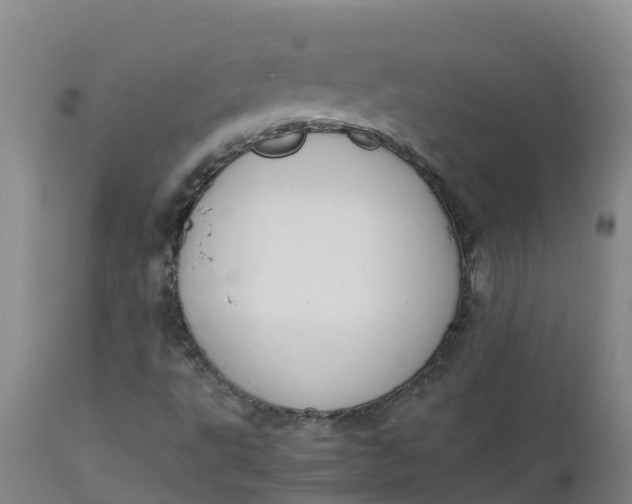X0000111811495200908131447