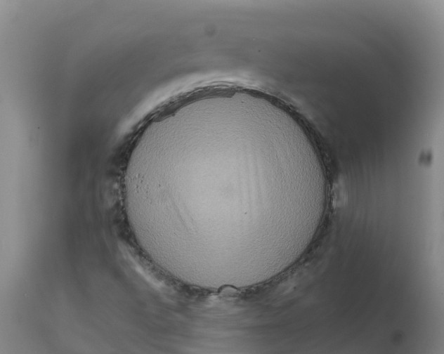 X0000111811496200908131447