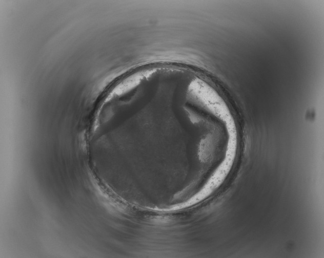 X0000111811497200908131447