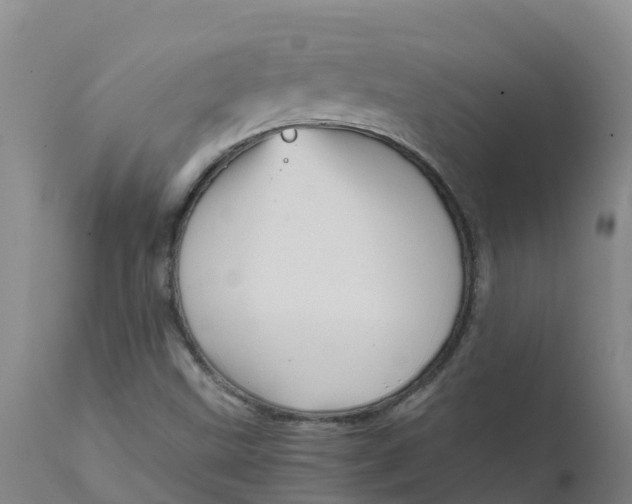 X0000111811499200908131447