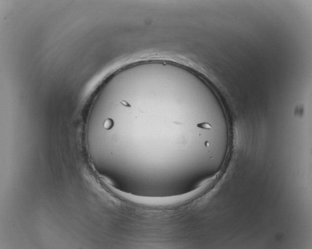 X0000111811502200908131447