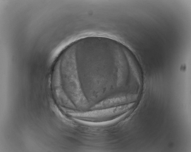 X0000111811503200908131447